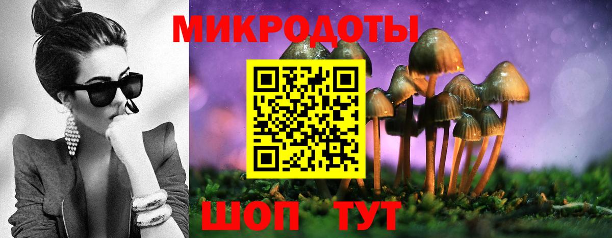 Галлюциногенные грибы Cubensis Якутск
