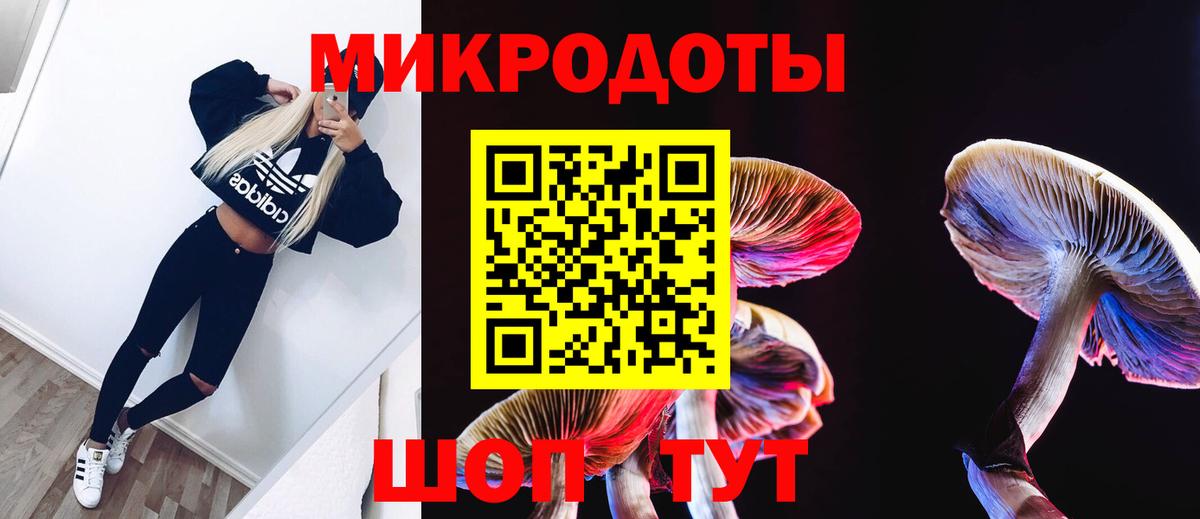 закладка  Галлюциногенные грибы MAGIC MUSHROOMS  Вход с VPN  Якутск 